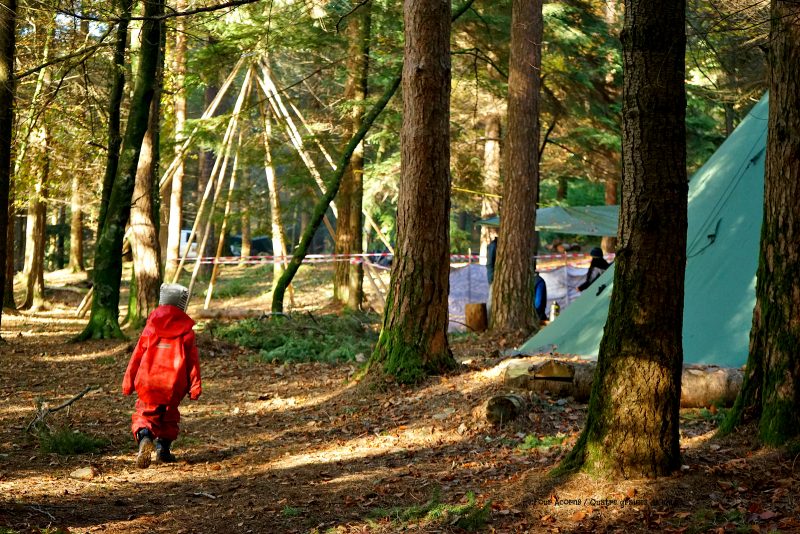 Kit De Survie Des Touristes Et Tente De Camping Dans Les Forêts D'automne
